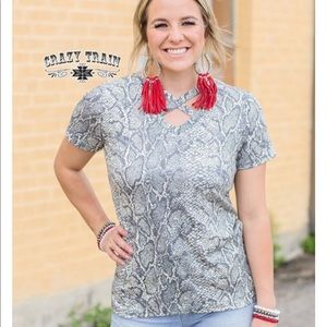 Crazy Train Python Trendsetter